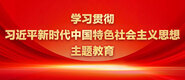 女生被男生用鸡巴桶进去网站学习贯彻习近平新时代中国特色社会主义思想主题教育_fororder_ad-371X160(2)